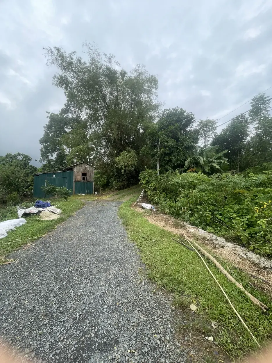 Bán lô đất Cố Đụng Yên Xuân Hà Nội 1230m2 giá 17tr/m2