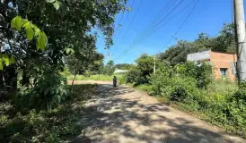 Bán đất ngay sau chợ An Linh, 300 triệu, 200 m2, SHR, An Long, TP.HCM(mới)