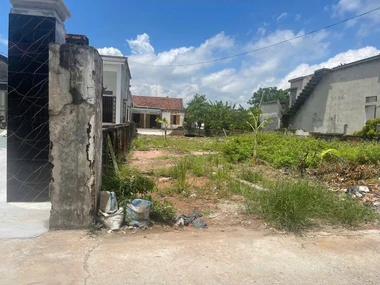 Cơ hội sở hữu đất thổ cư Thái Thụy, Hưng Yên, 113.5 m²