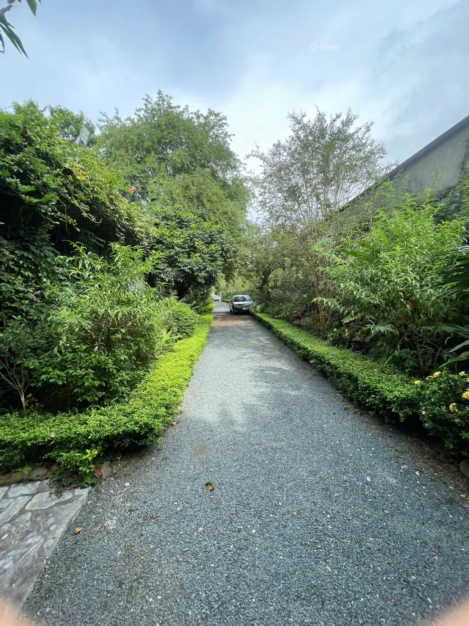 BÁN LÔ ĐẤT NGHỈ DƯỠNG 3.000M² GIÁ 55 TỶ TẠI ĐỒNG VÀNG, PHÚ CÁT – HÀ NỘI