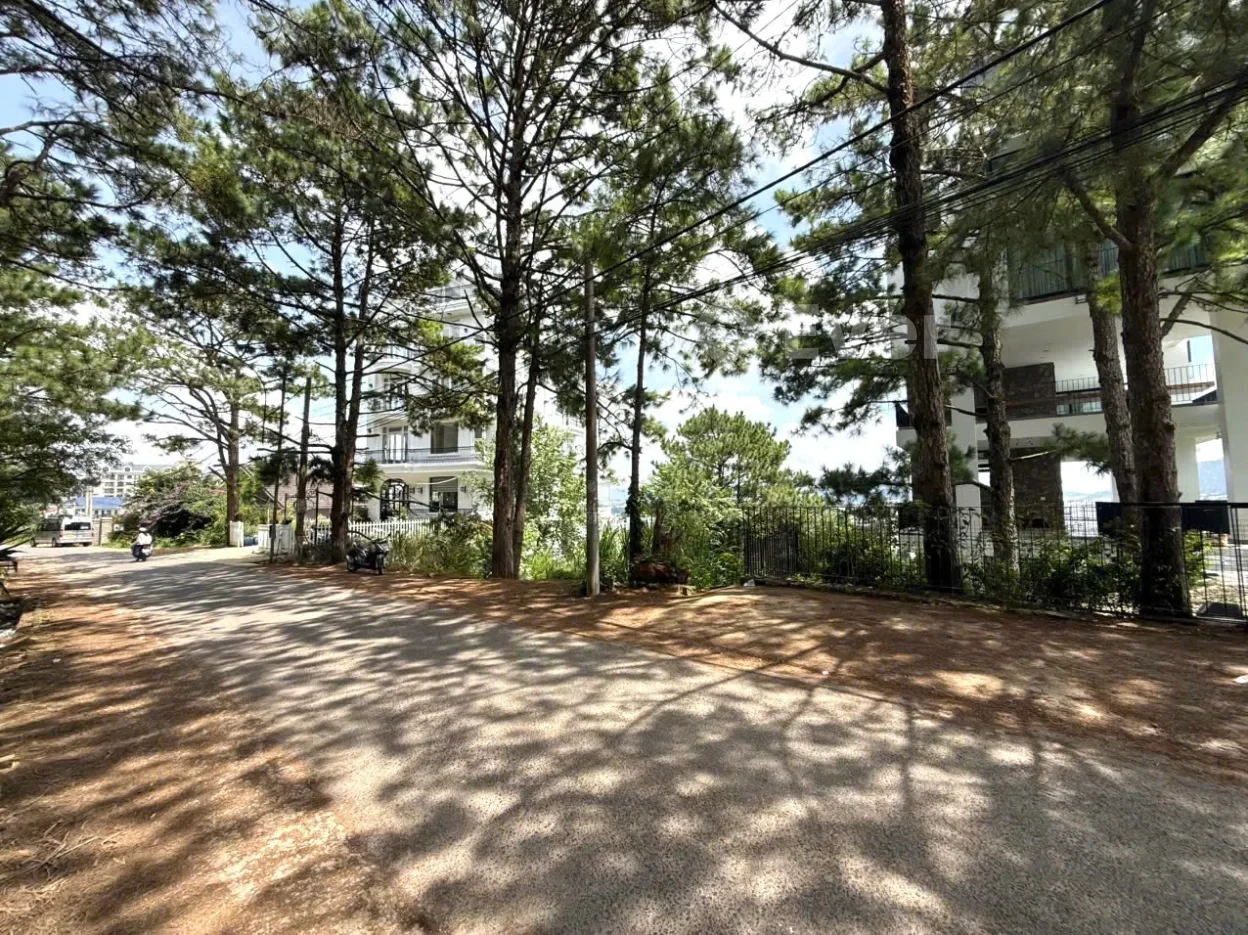 Đất view thông đẹp vĩnh viễn, 19,3m mặt tiền Trịnh Hoài Đức, Tp Đà Lạt - DT 1.488m2; Giá 75 tỷ