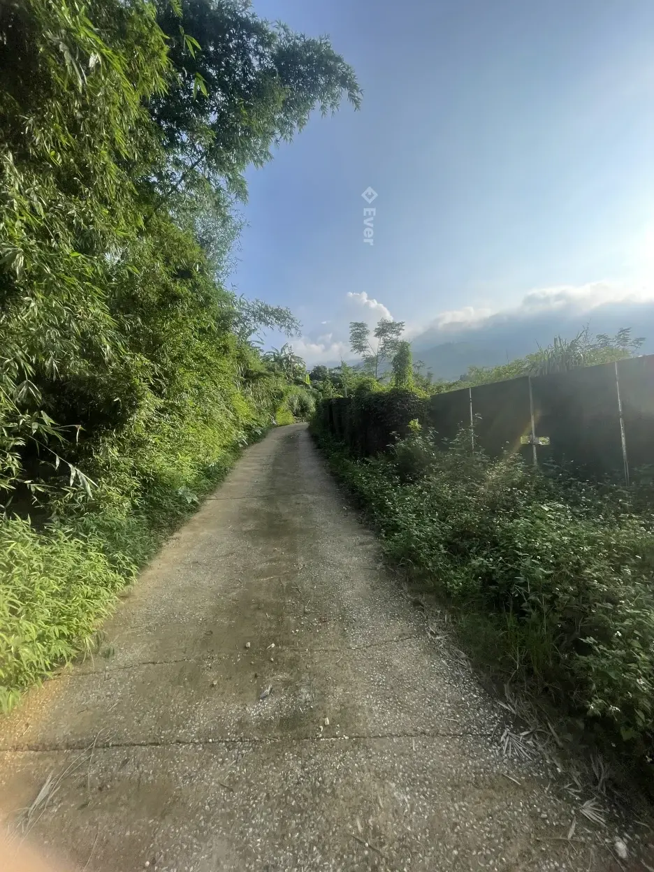 Bán lô đất 7797m2 giá 6,8trieu/m2 tại Yên Bình Yên Xuân Hà Nội