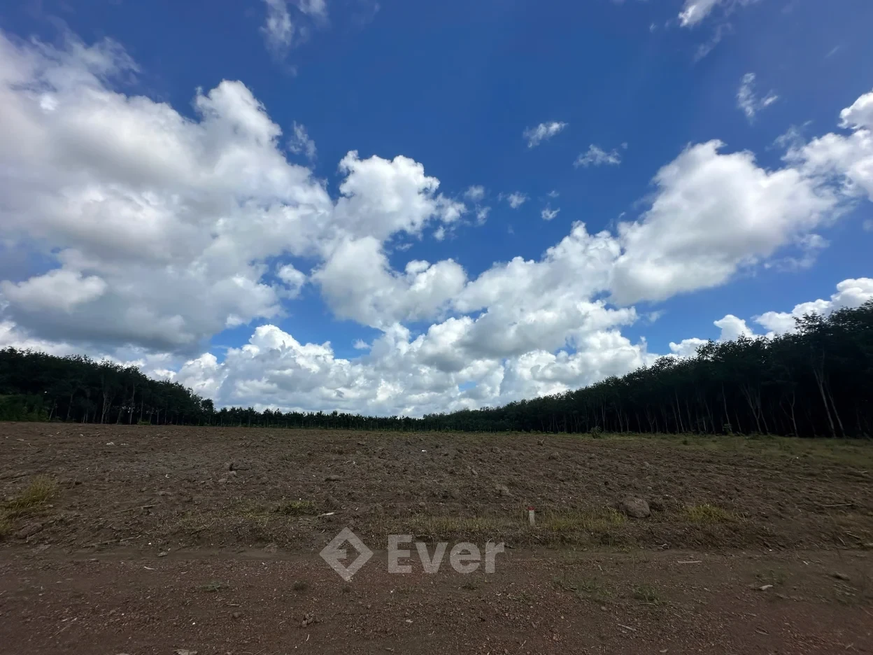 Bán đất nền giá tốt tại Xã Tân Lợi, Đồng Nai