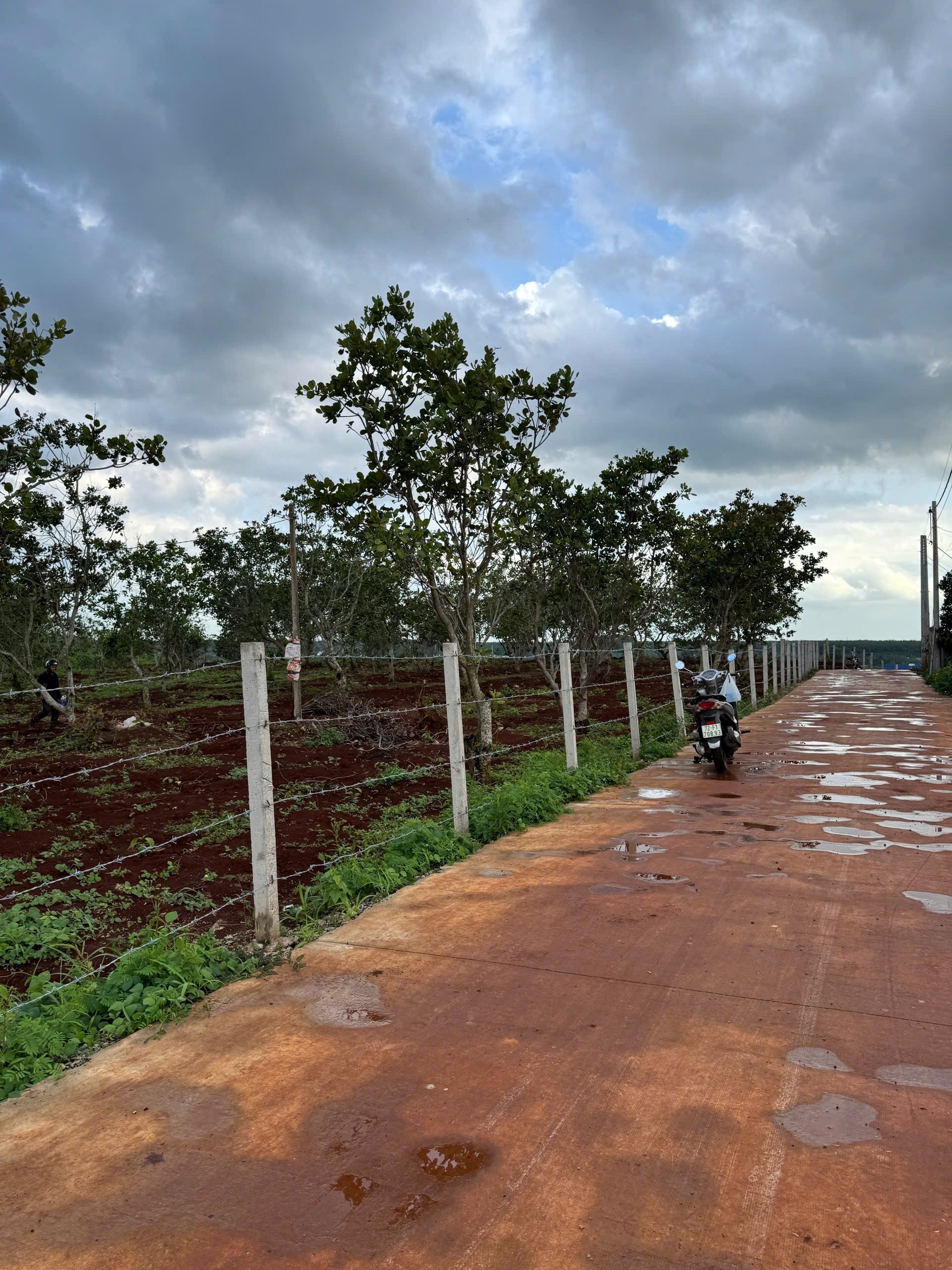 BÁN ĐẤT NÔNG NGHIỆP TẠI NGẢI GIAO, CHÂU ĐỨC, HỒ CHÍ MINH