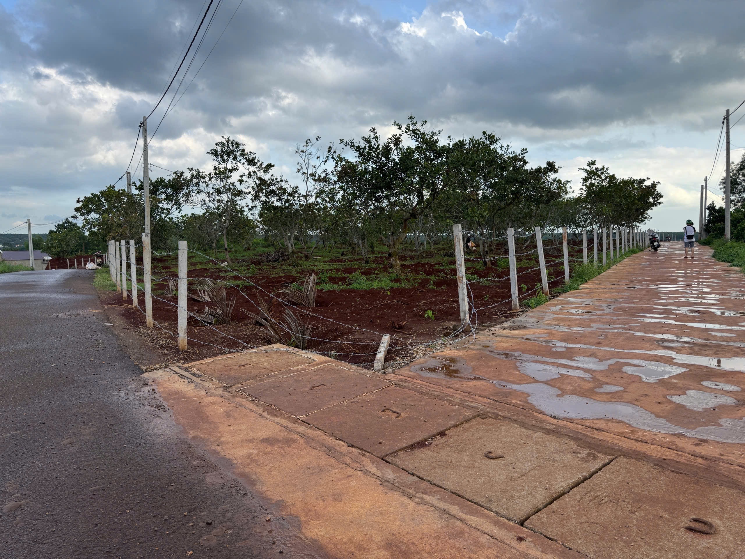 BÁN ĐẤT NÔNG NGHIỆP TẠI NGẢI GIAO, CHÂU ĐỨC, HỒ CHÍ MINH