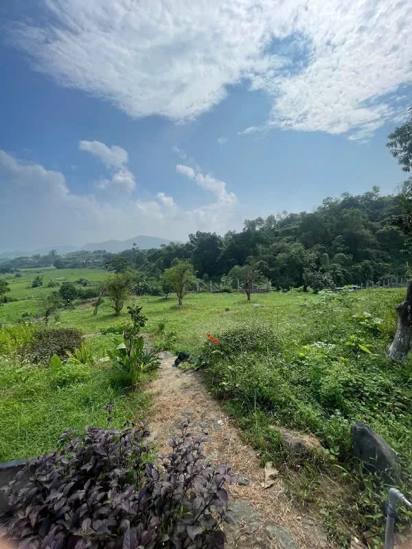 Bán trang trại nghỉ dưỡng tại Đồng Cao Yên Xuân, Hà Nội, 50 tỷ, 9700 m²