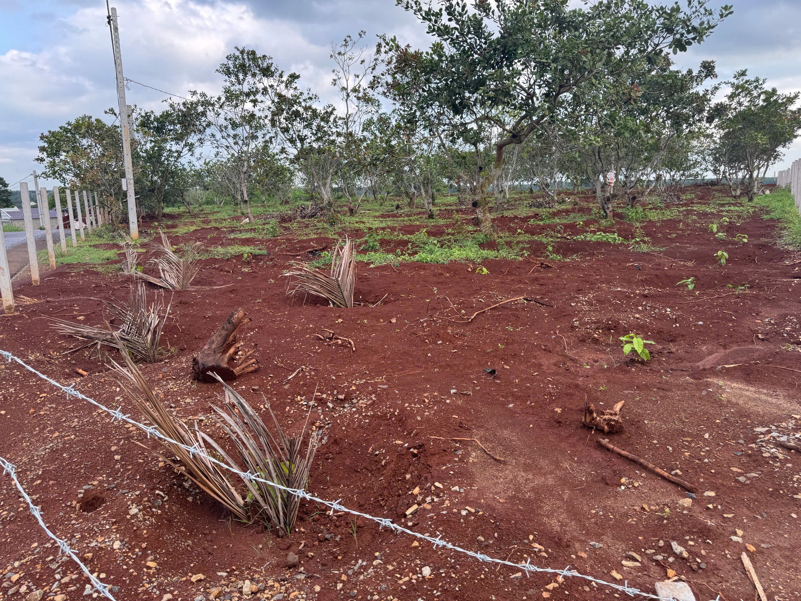 BÁN ĐẤT NÔNG NGHIỆP TẠI NGẢI GIAO, CHÂU ĐỨC, HỒ CHÍ MINH