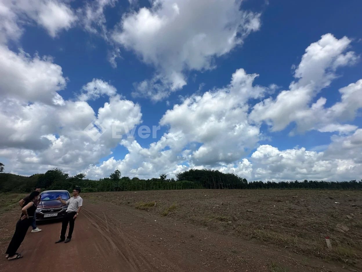 Bán đất nền giá tốt tại Xã Tân Lợi, Đồng Nai