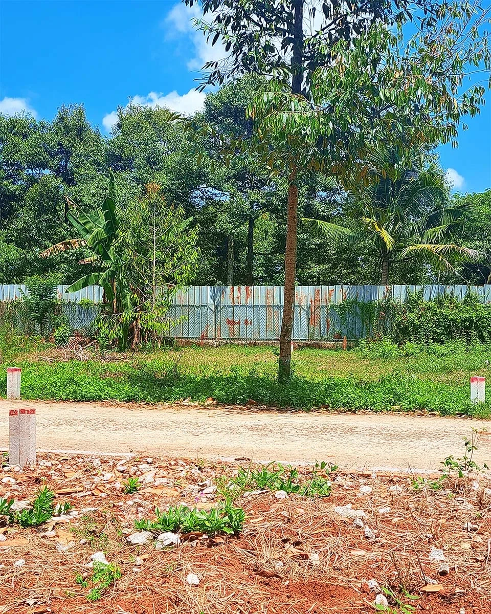 Bán Nền Thổ Cư, Sổ Riêng Kp Nông Doanh, P Hàng Gòn, Cách Ql1a 1km, Giá Chỉ 750tr