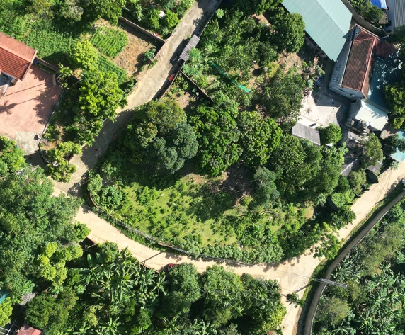 Ảnh đại diện