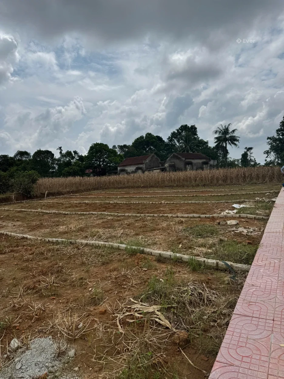 CHÍNH CHỦ CẦN CHUYỂN NHƯỢNG 5 LÔ ĐẤT ĐẸP – GIÁ CHỈ TỪ 200 TRIỆU/LÔ