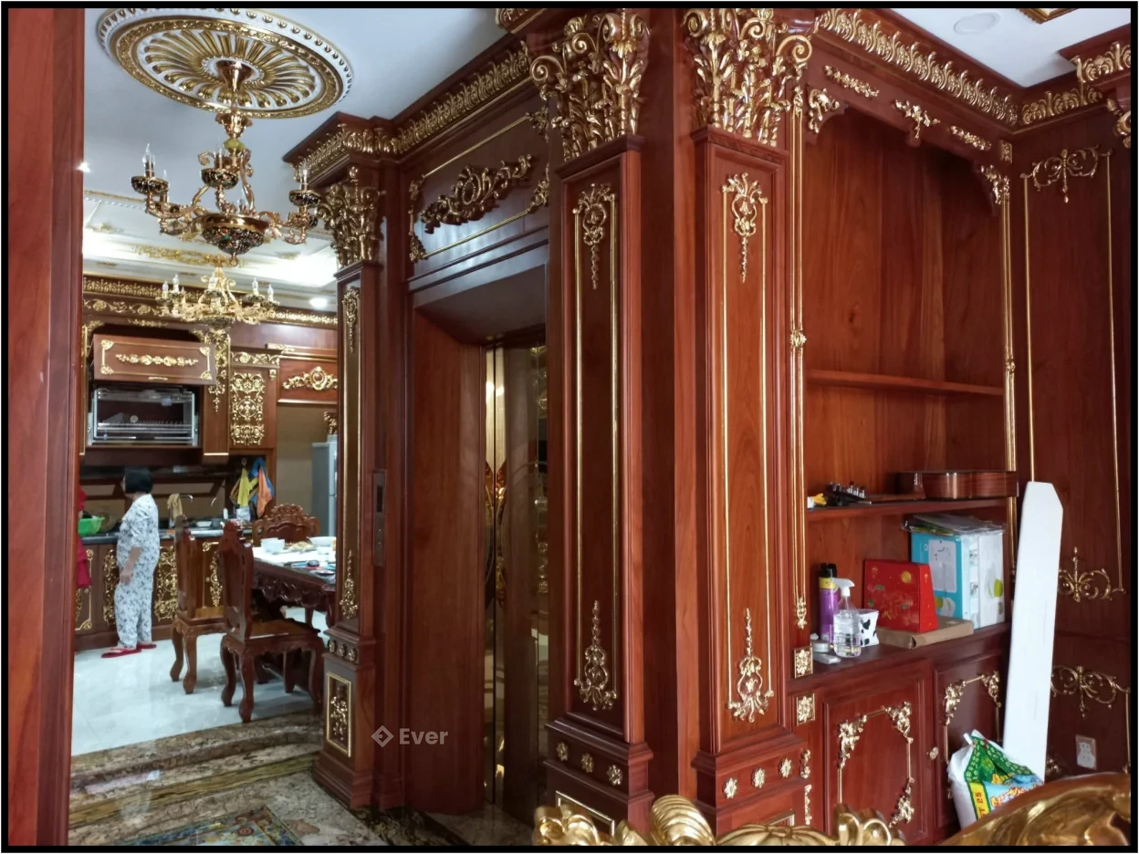 Top biệt thự đẳng cấp 8 x 22m 1 hầm 5 lầu thang máy tại TP.HCM