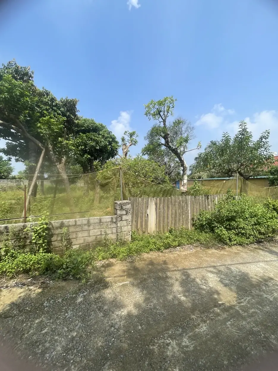 Ảnh bất động sản